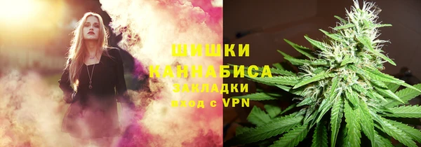 PSILOCYBIN Зеленодольск